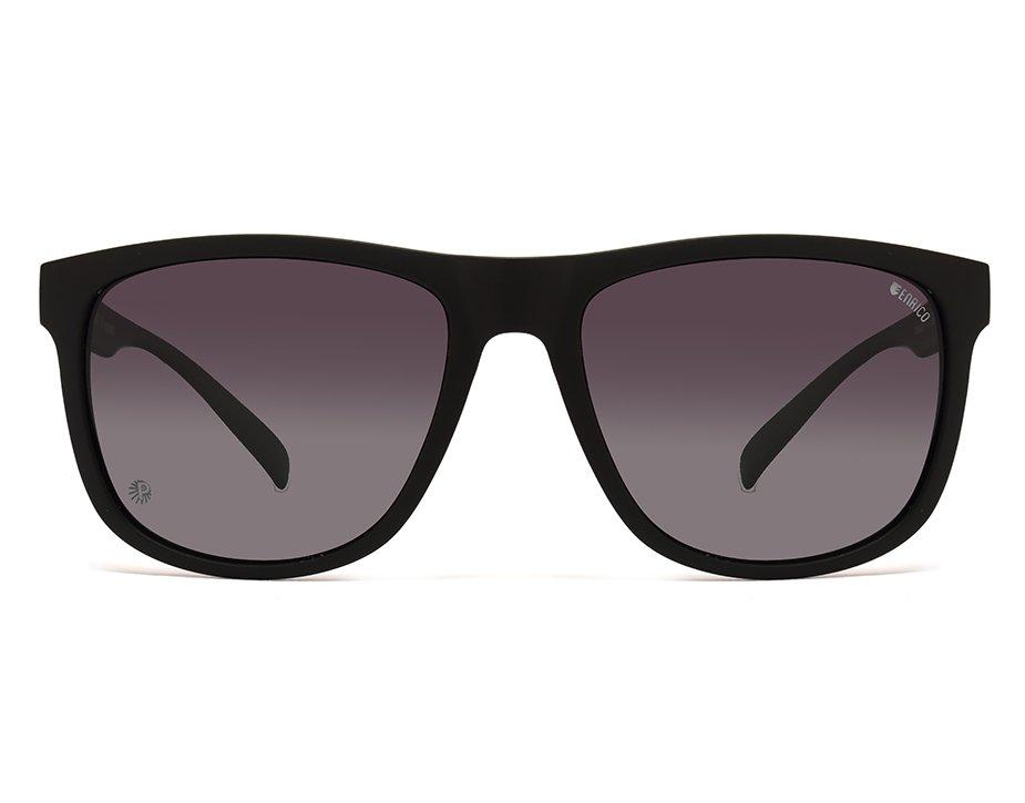 Sunkist Enrico Wayfarer Sunglass 2006