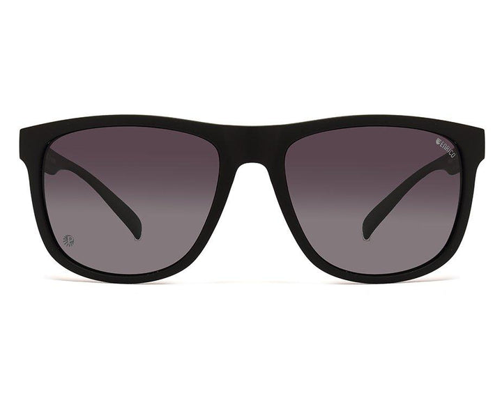 Sunkist Enrico Wayfarer Sunglass 2006